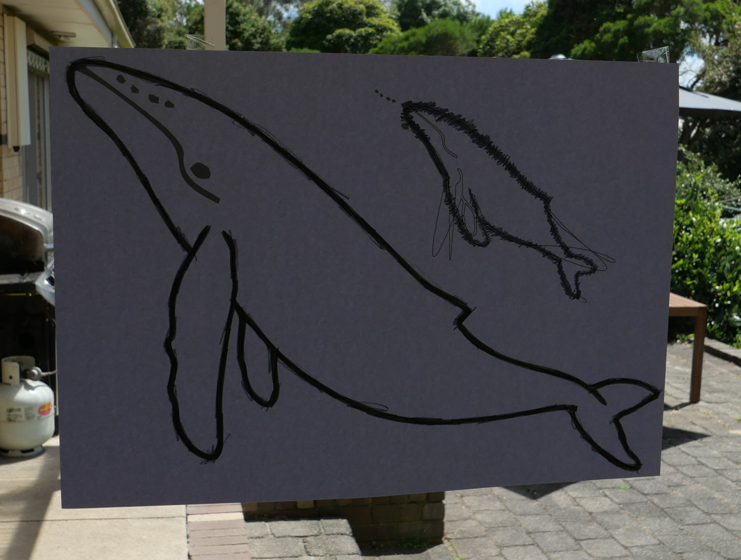 Adding pencil lead to the outline of the whale.